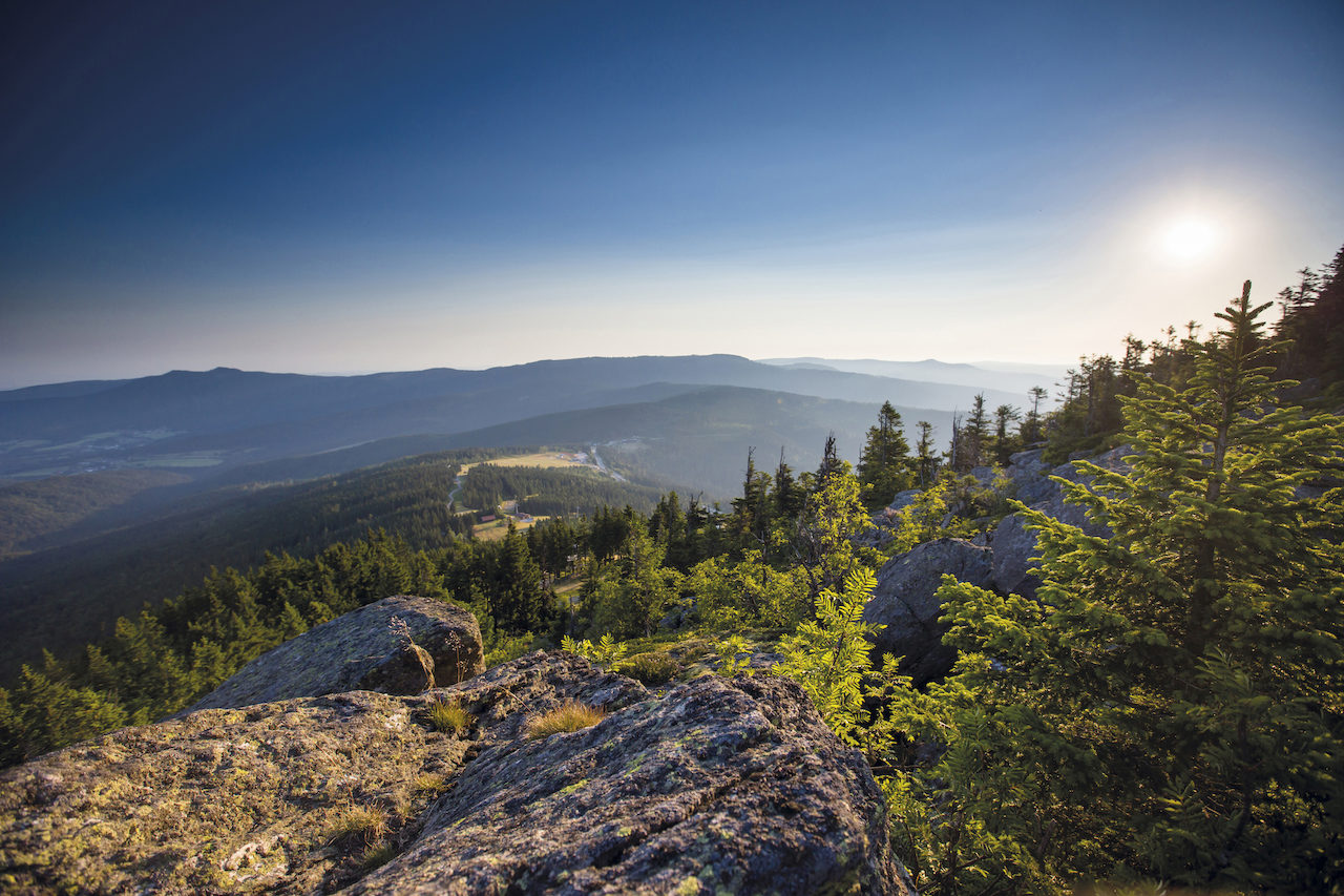 Urlaub Im Bayerischen Wald - Hotel Mooshof In Bodenmais